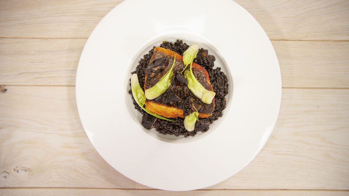 Sea bass with black lentils, king trumpet mushrooms, and “puntarelle” chicory