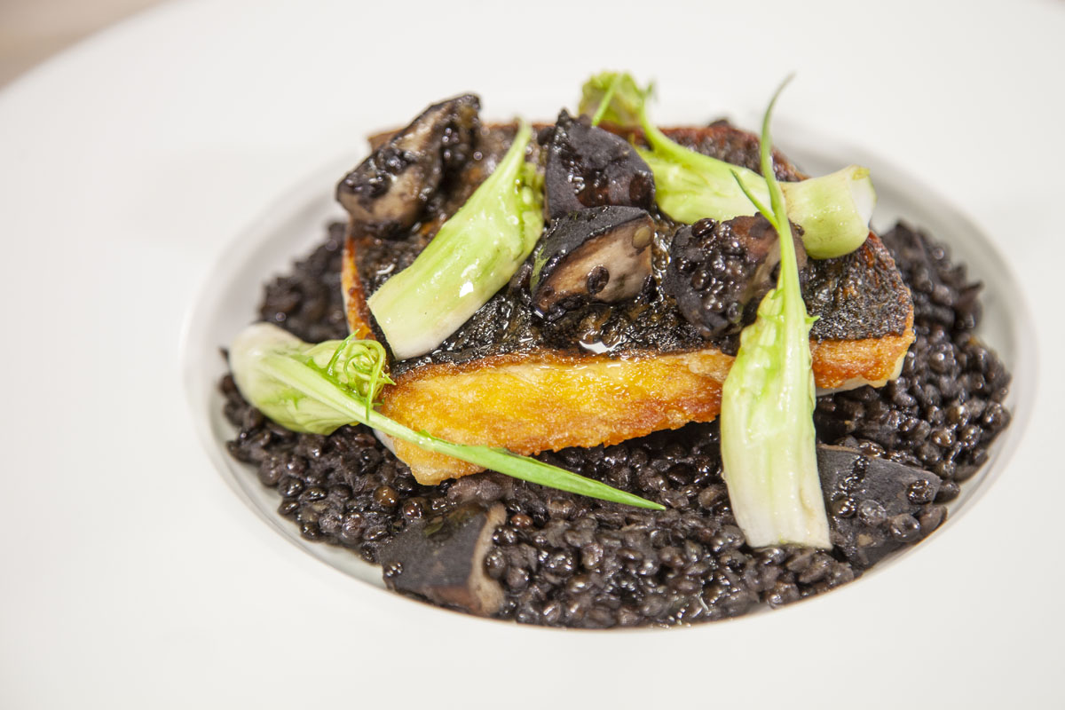 Sea bass with black lentils, king trumpet mushrooms, and “puntarelle” chicory
