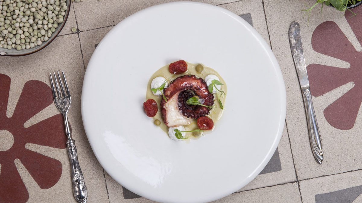 Seared octopus with cream of peas, cherry tomato confit, and Ricotta cheese